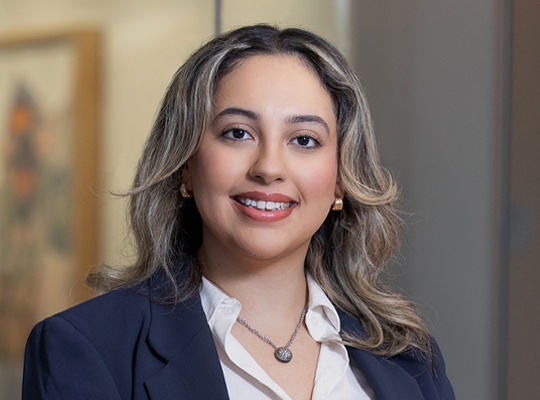 Hanin Abu Amara